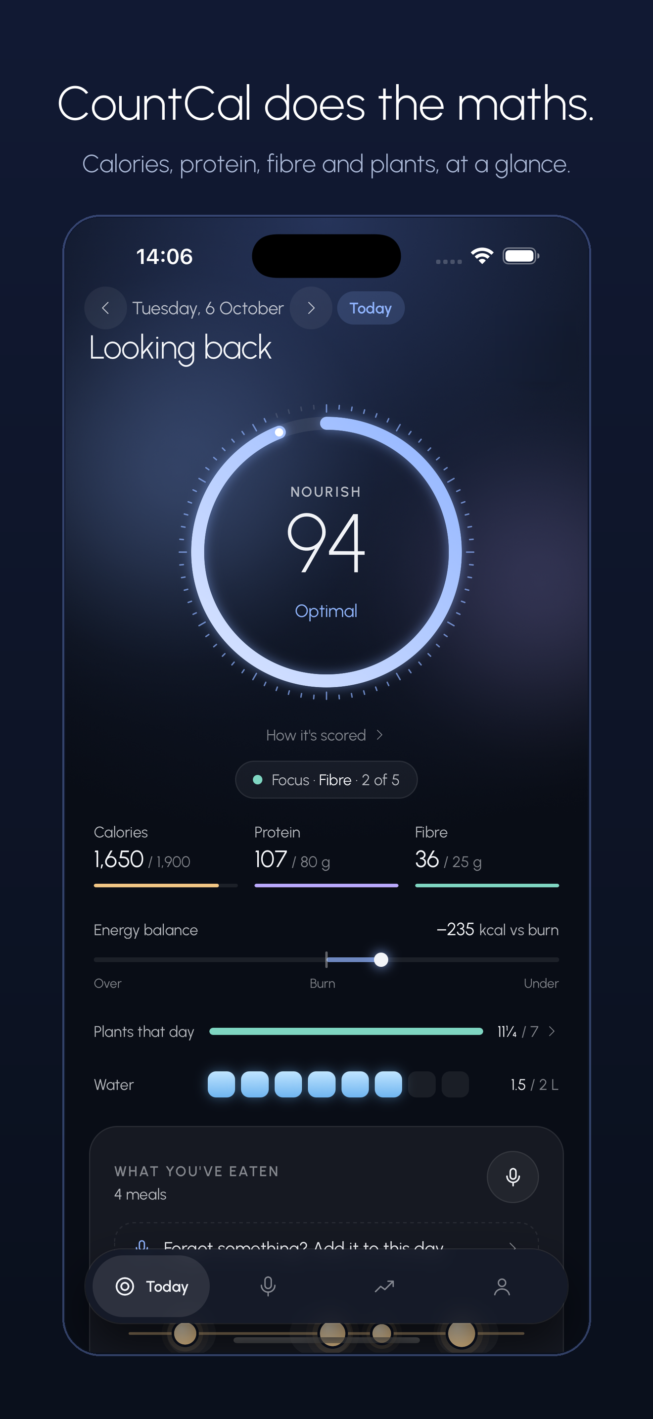 CountCal Today screen